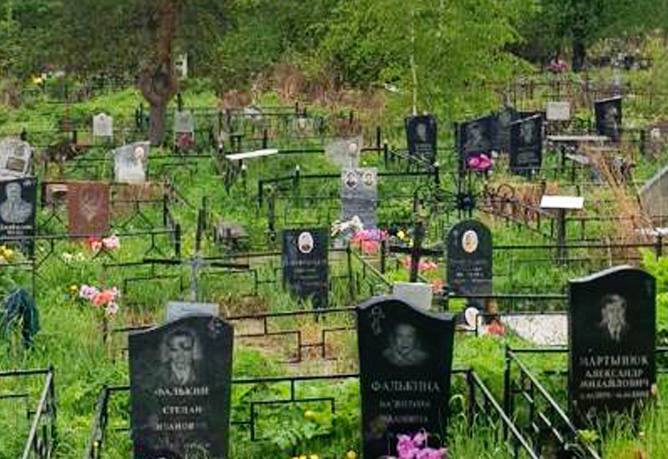 Кладбище в посёлке Ильичёво Ленинградской области