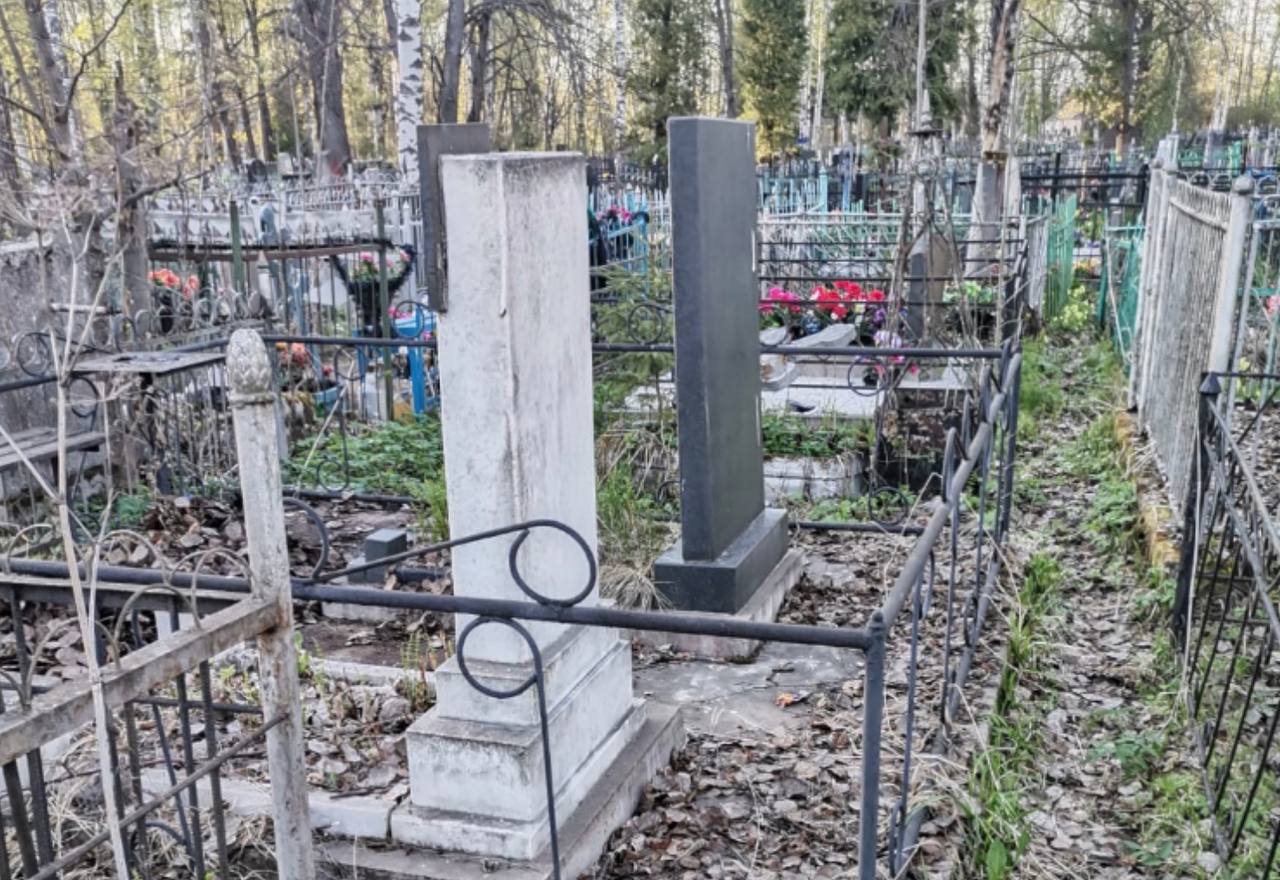 Новое кладбище Мшинского с. п. Лужского района в Ленинградской области