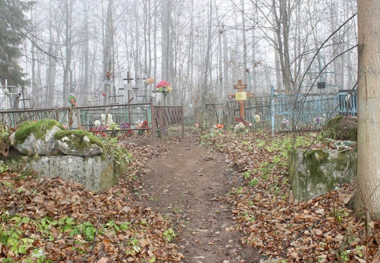 Поддубское кладбище Лужского района в Ленинградской области